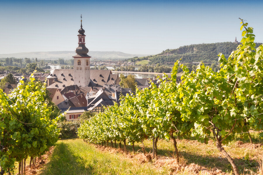 Best Wine Stands & Places to Stop Along Germany's Rheinsteig Trail - Thrillist
