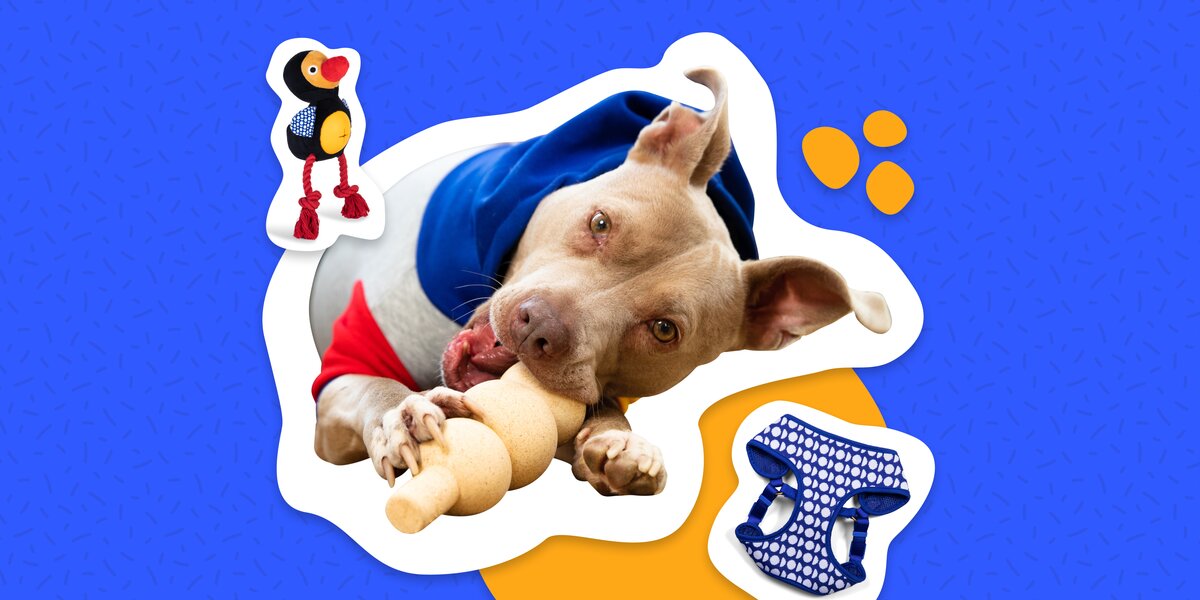 The Dodo Pet Product Collection, Only At Walmart