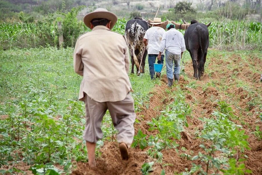 What You Need to Know About Mexican Corn Whiskey - Thrillist