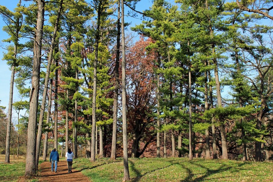 Best Hikes and Hiking Trails Near Chicago We'll Be Hitting This Summer - Thrillist