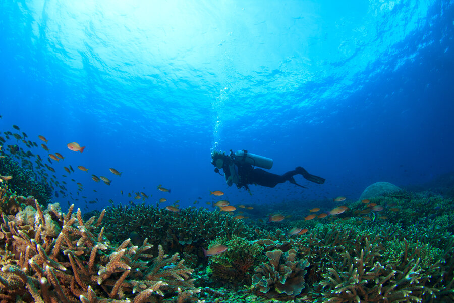 Why Your Next Vacation Should Be a Skillcation - Thrillist