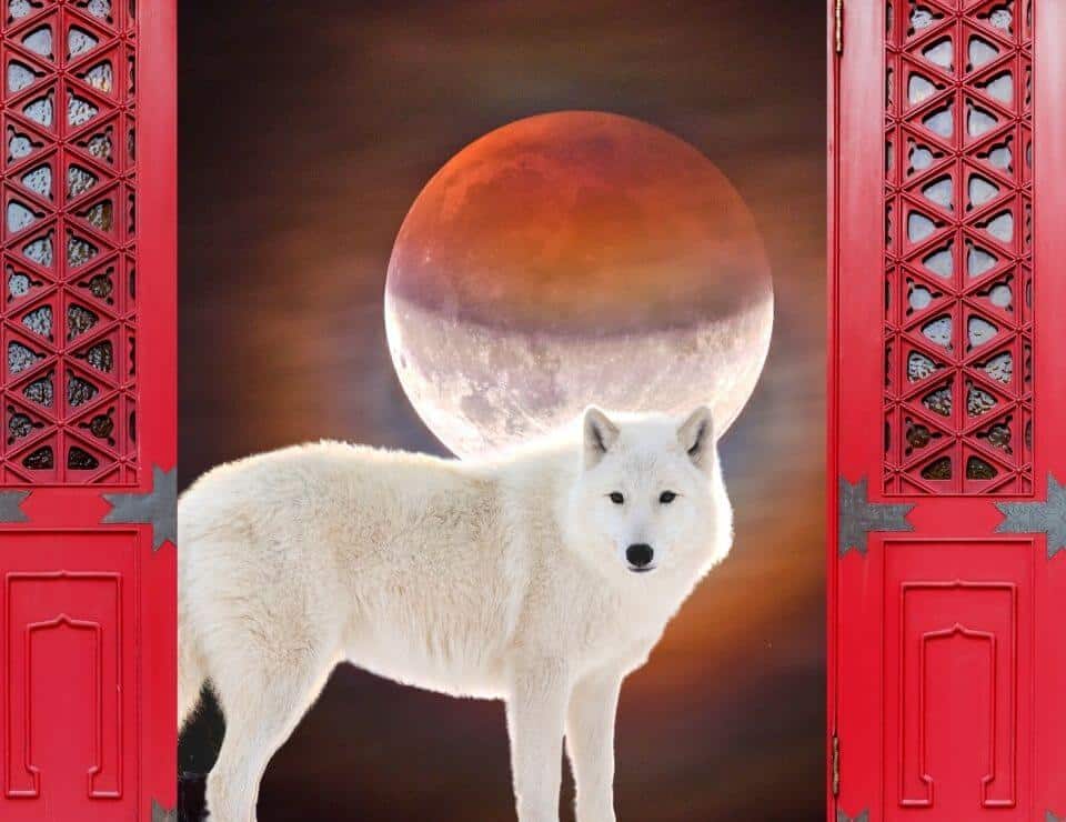 Eclipses in Astrology: Solar and Lunar | The AstroTwins