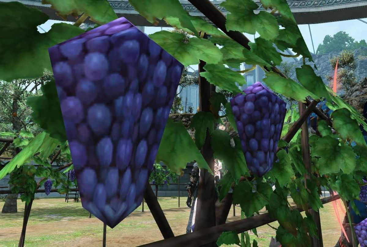 FFXIV Patch 6.01 fixes Viera’s awkward voices & low poly grapes in Labyrinthos - AUTOMATON WEST