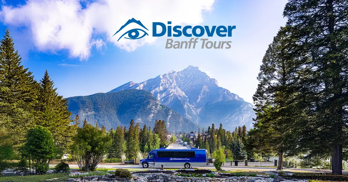 Jasper Wildlife Discovery Tour | Discover Banff Tours