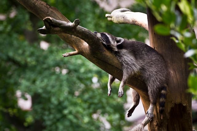 'Sleeping on It' Really Does Help, and 4 More New Sleep Research Breakthroughs | Being Patient