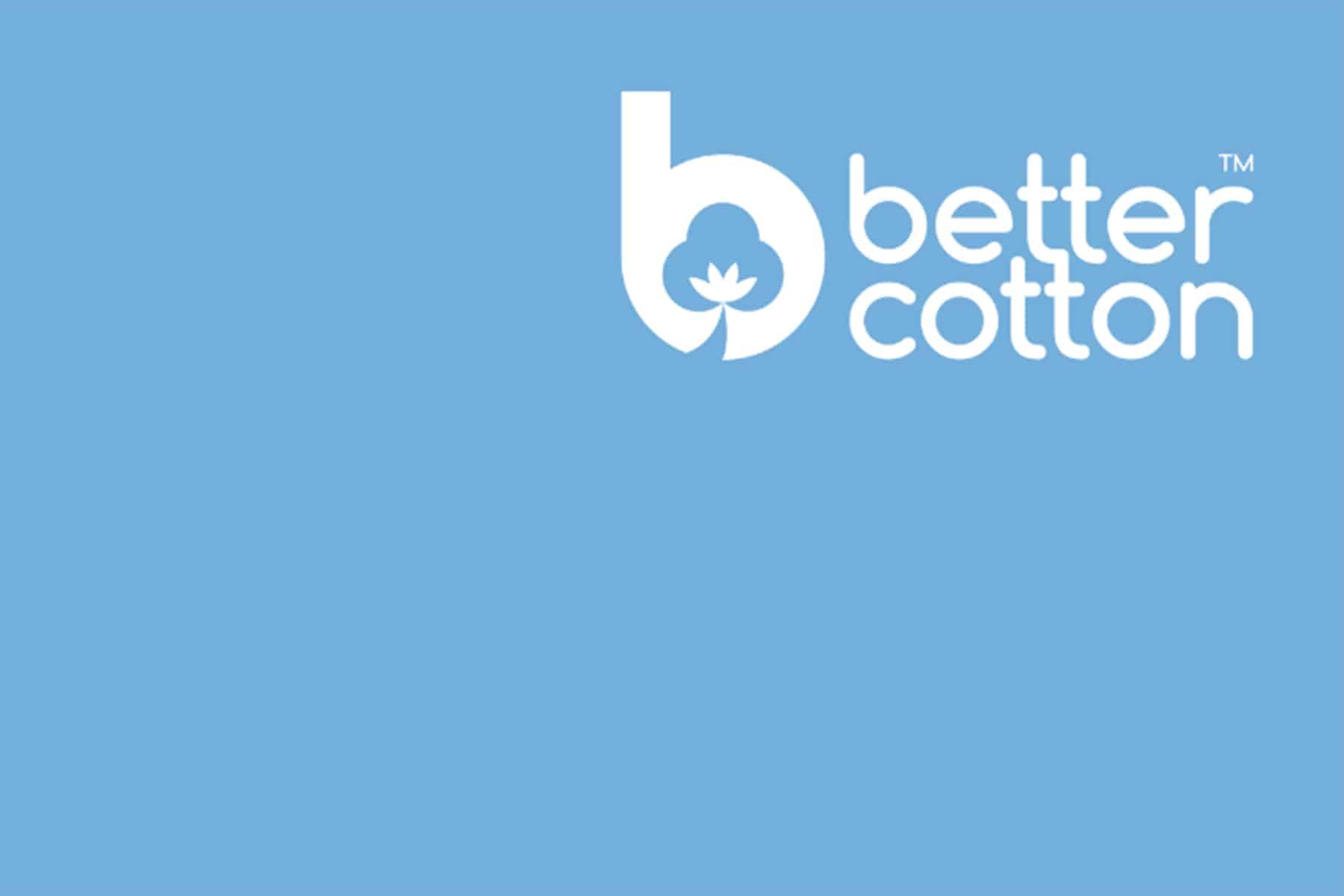 Earthsight: Our Statement and Audit Summary - Better Cotton Initiative