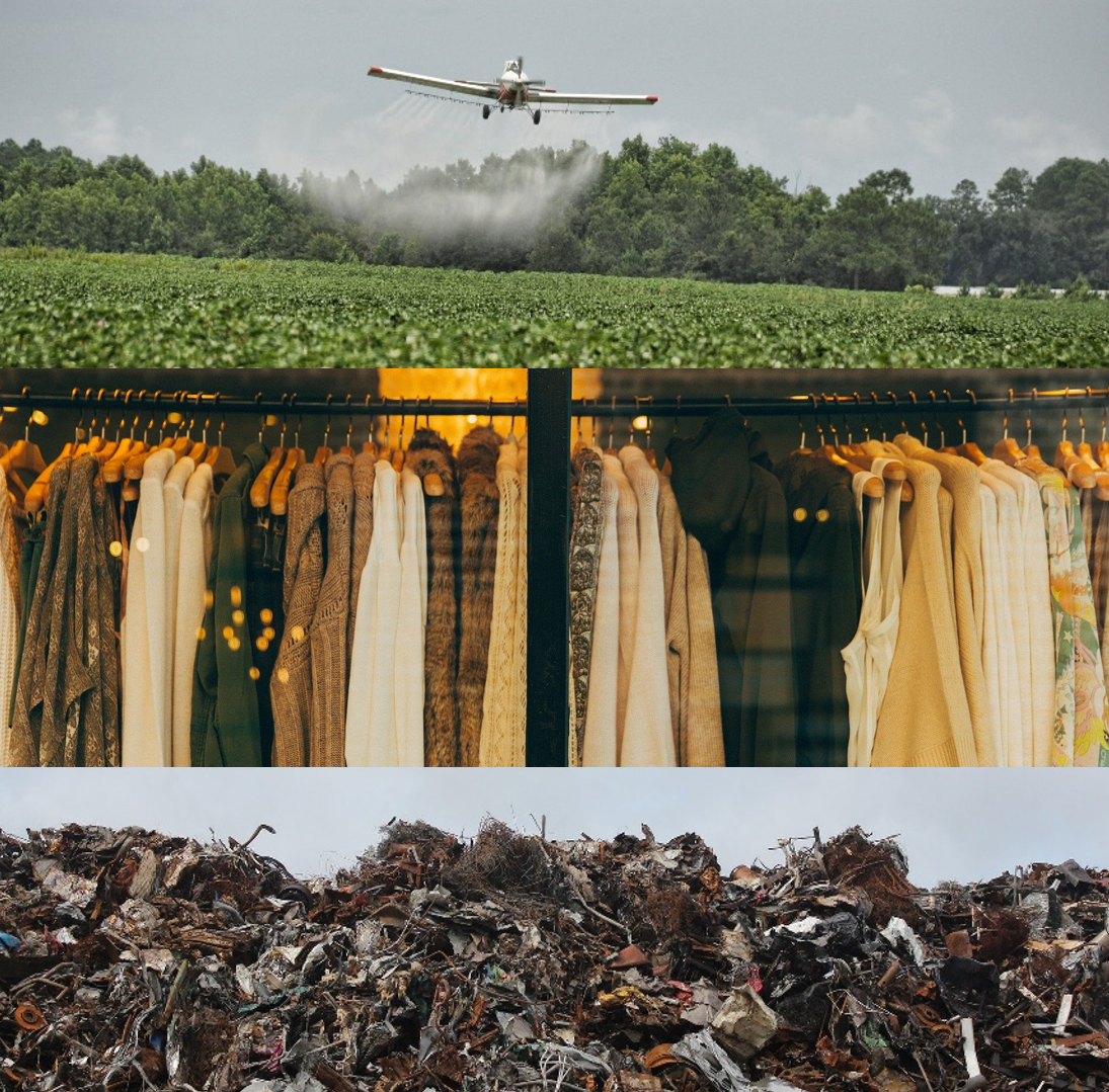 Fashion Killer: Report Finds that the Apparel Industry is a Major Contributor to Biodiversity Loss - Beyond Pesticides Daily News Blog