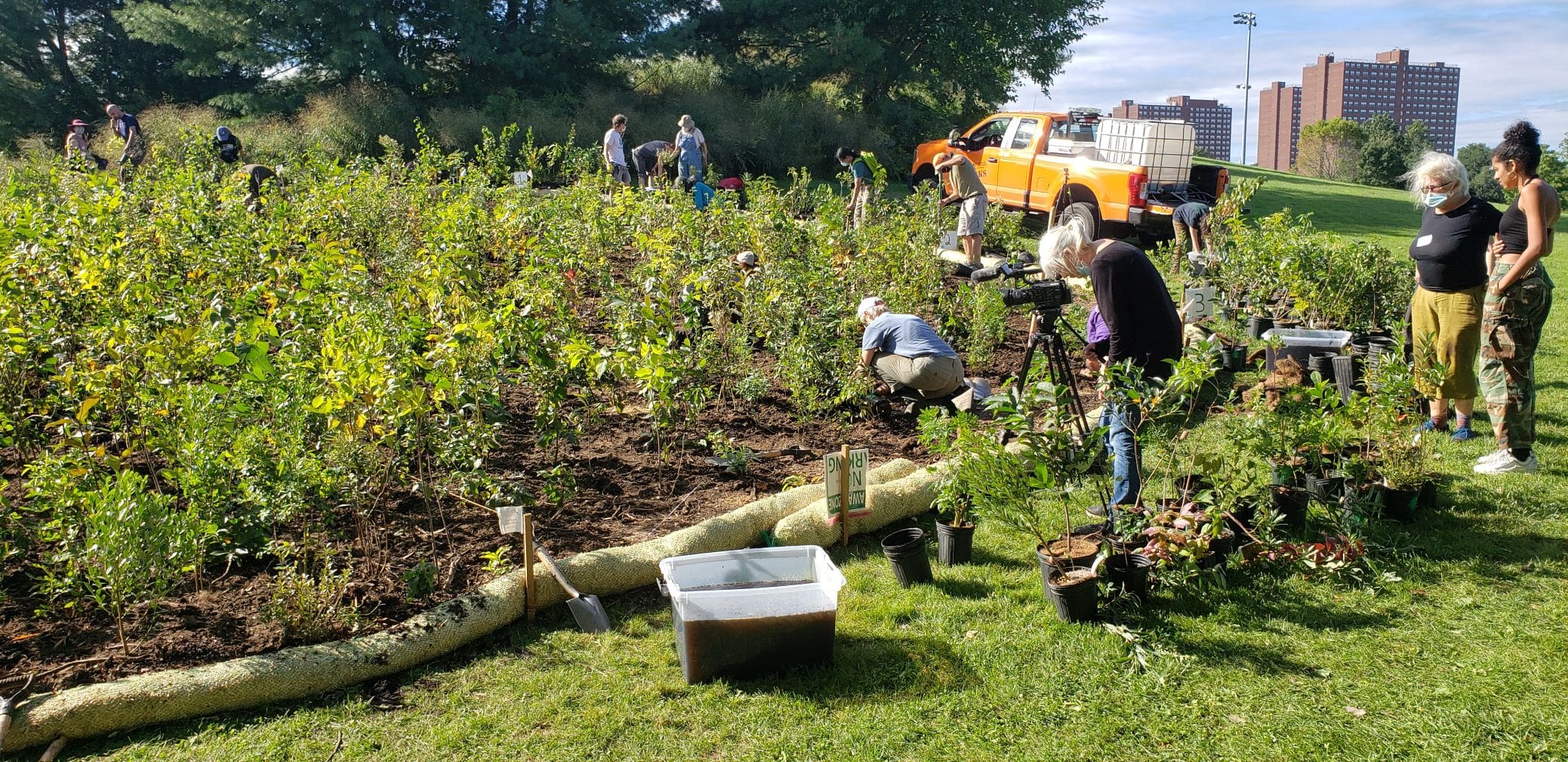 Miyawaki Forest Program - Biodiversity for a Livable Climate