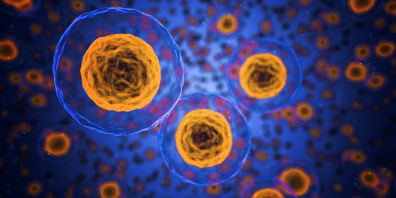 Q&A on cancer research with Senior Editor Richard Hodge - PLOS Biologue
