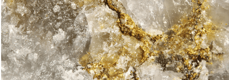 First Bitcoin Exchange To Accept Gold