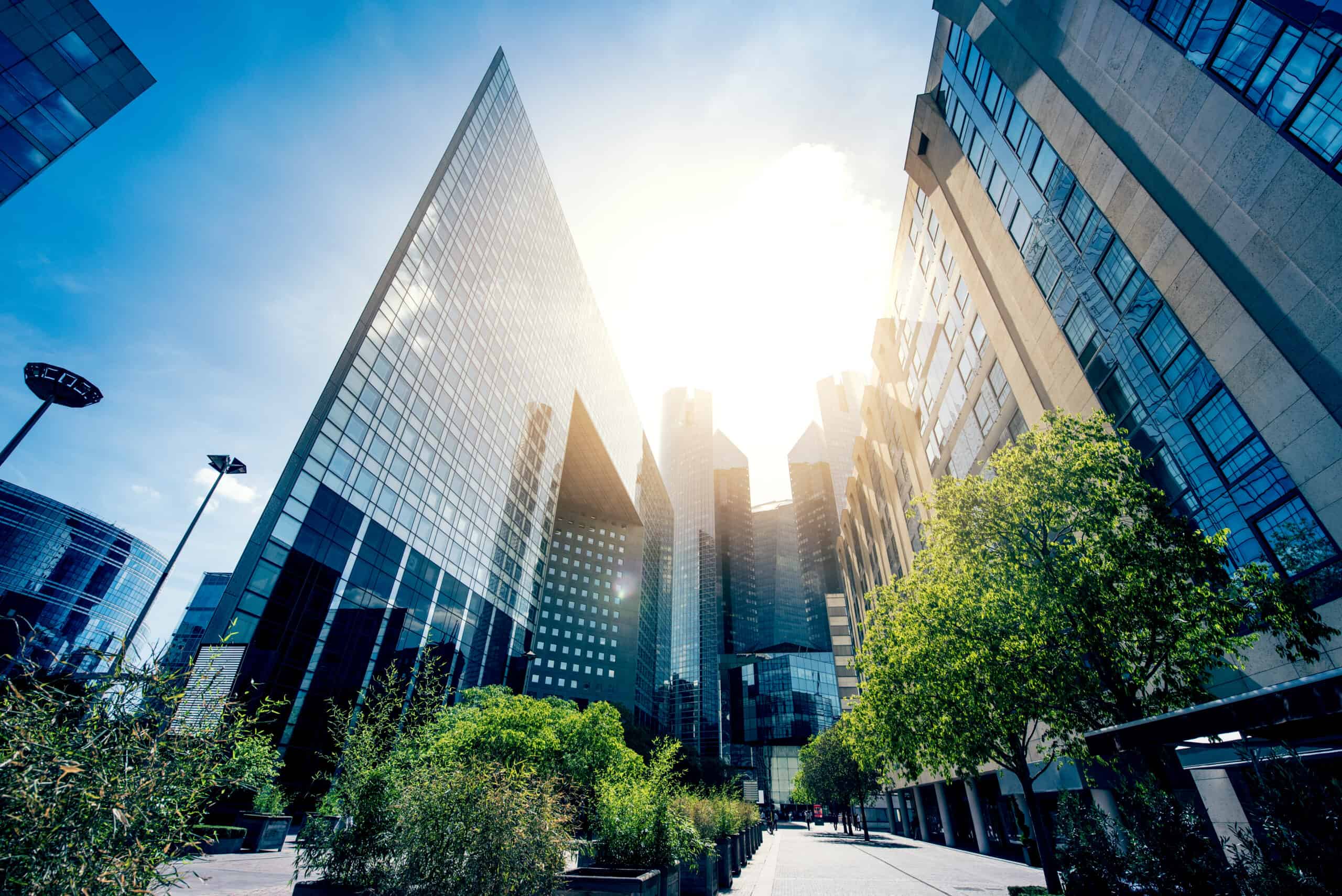 Success Story | Smart and Green Design and Project Management Services for 12 Hi-Tech IT Parks