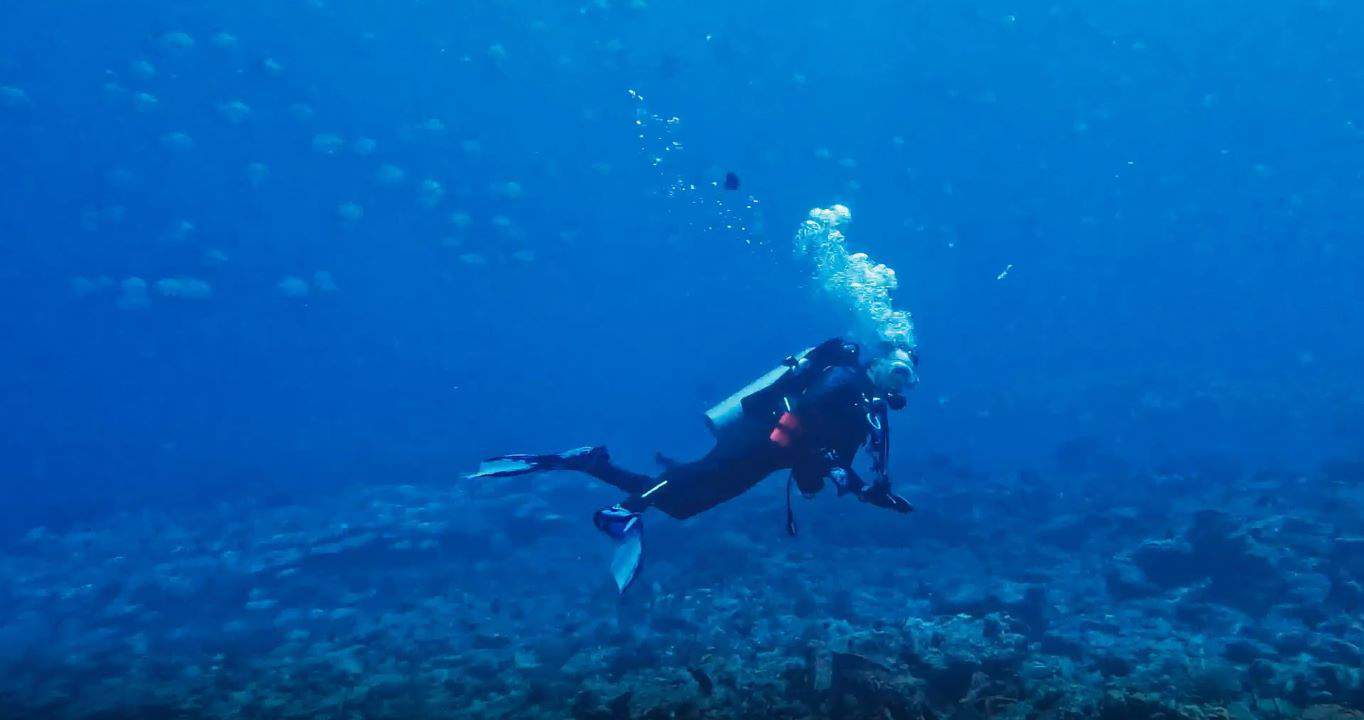 How Diving Helps CIO Navigate Digital Revolution