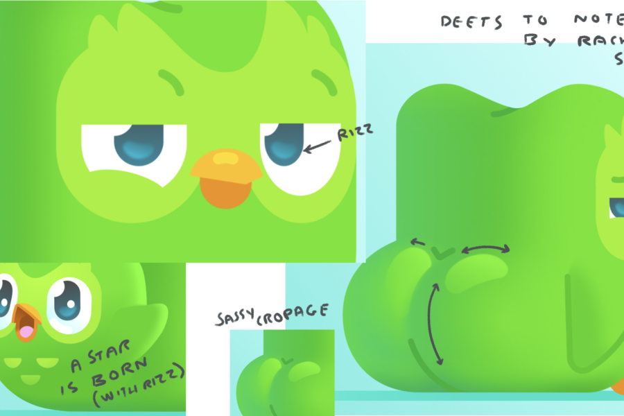 Duolingo Team cover