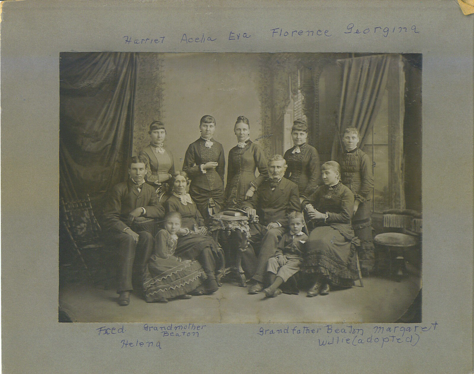FamilyHistHound User cover