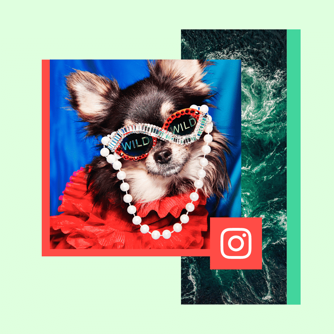 Ideas para Instagram: tipos de contenido con muy buenos resultados