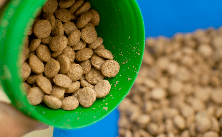 The Danger of Dogfooding - The Intercom Blog