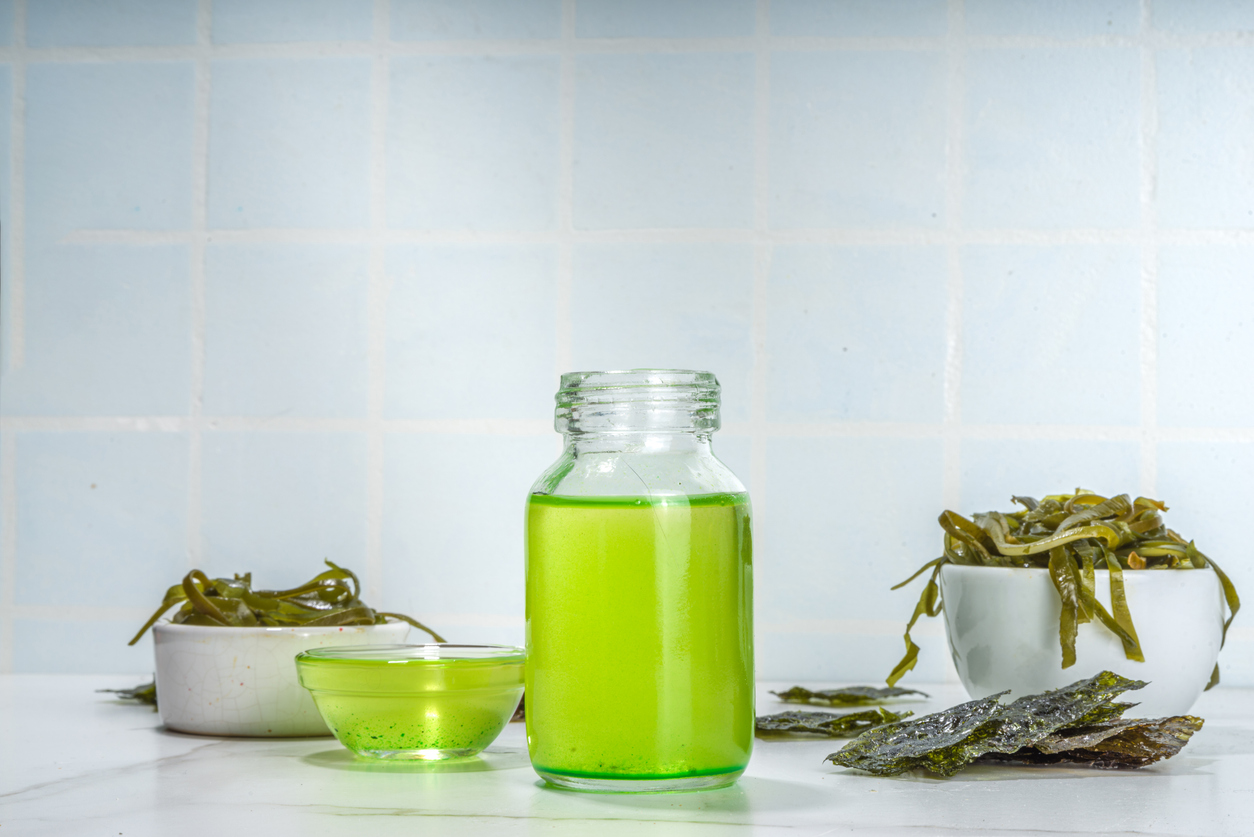 Algae Oil Benefits For Dogs | JustFoodforDogs Blog