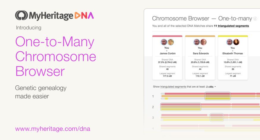 En viktig uppdatering av MyHeritage kromosomläsare för att bättre upptäcka DNA-matchningar - MyHeritages Blogg