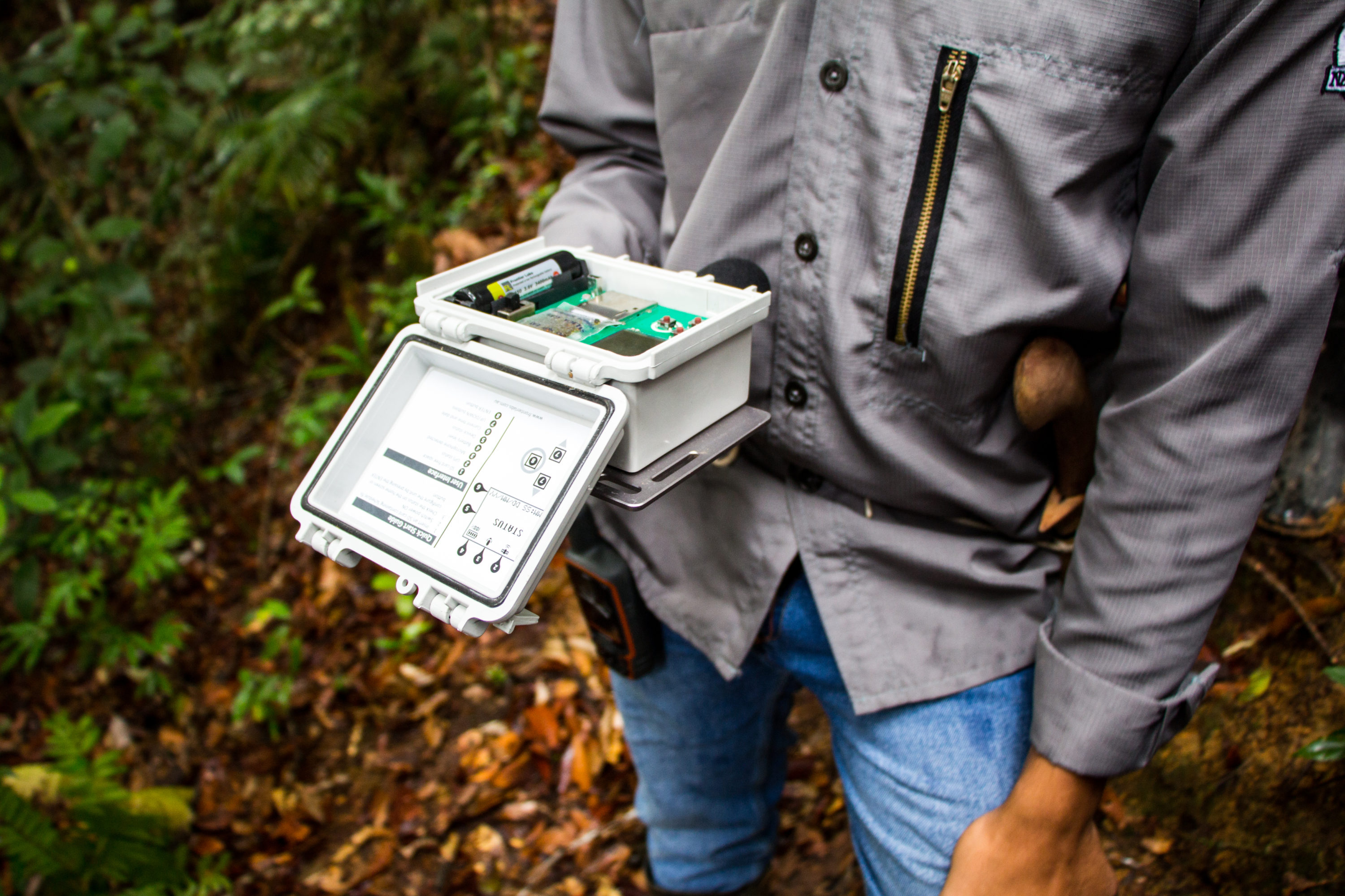 Bioacoustics Reveal Biodiversity Changes Across Borneo’s Forests