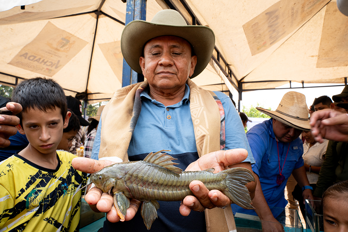 The Curito: Guardian of Orinoquia Conservation and Tradition - Cool Green Science