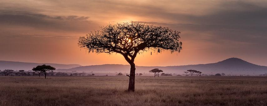 A Tanzania Guide - The Cadogan Guide to Tanzania & Zanzibar
