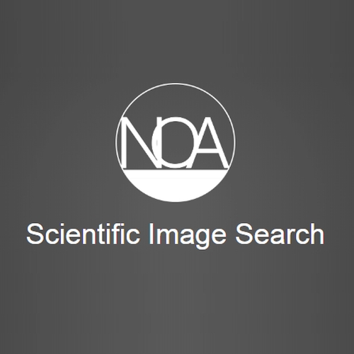 Behind the Scenes of a DFG Research Project — Making Five Million Scientific Open Access Images Available and Collaborating with the Wikimedia Community - TIB-Blog