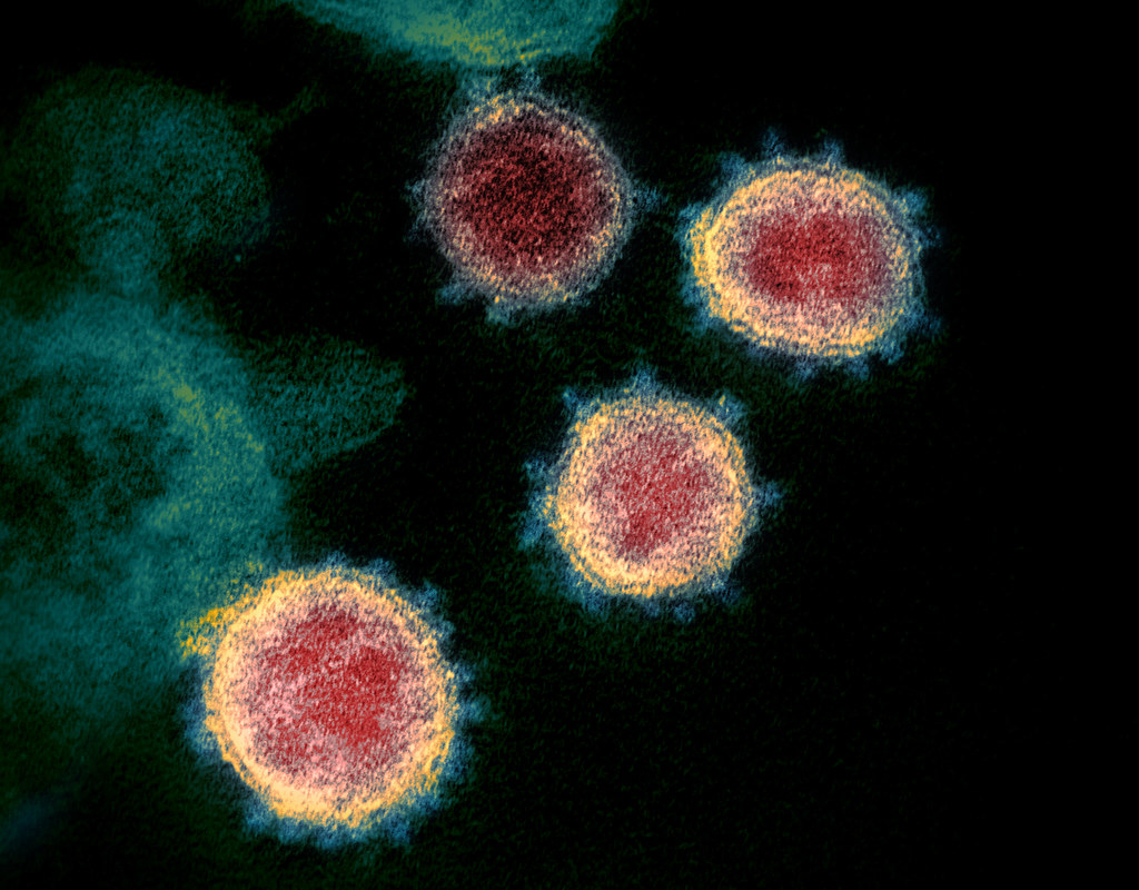 A critical examination of the controversial study behind hydroxychloroquine and azithromycin for COVID-19 - Division of Infectious Diseases | Division of Infectious Diseases | University of Nebraska Medical Center