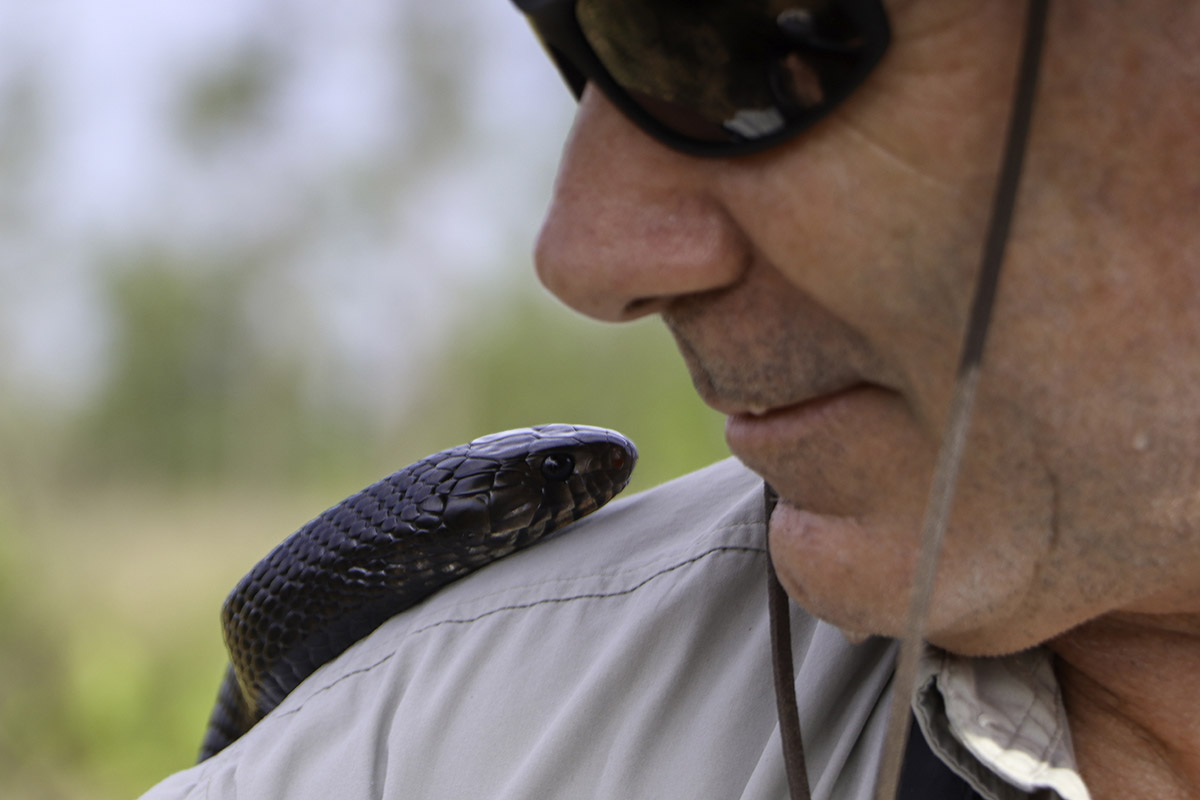 Indigo release '24: Cola River, Zooniverse, and 41 new snakes! | The WFSU Ecology Blog