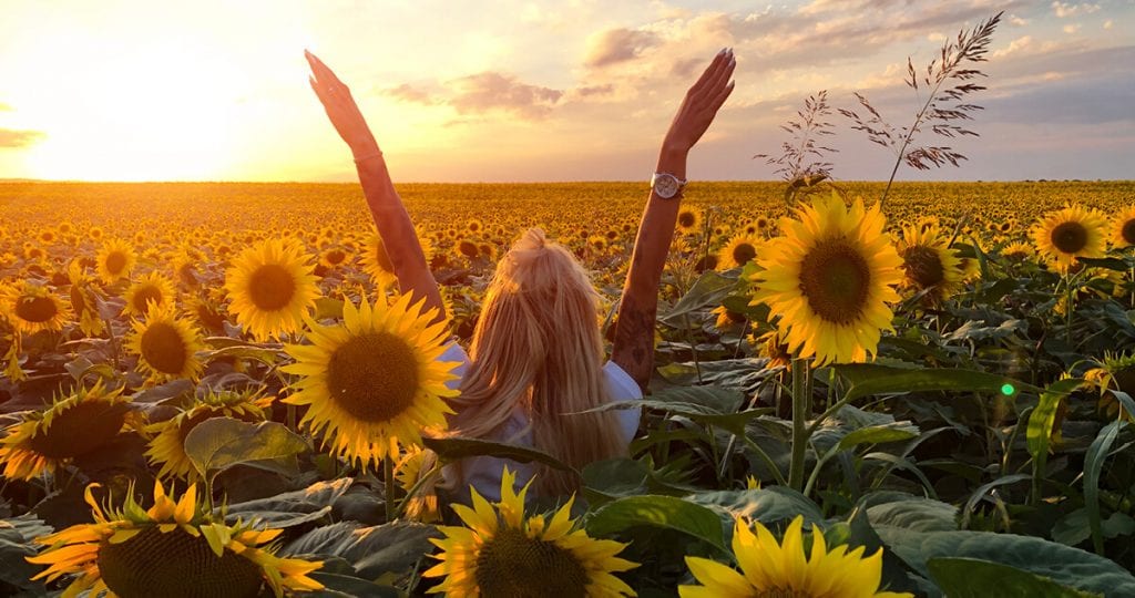 Speedbumps and Roadmaps: The Way to Heal After Divorce