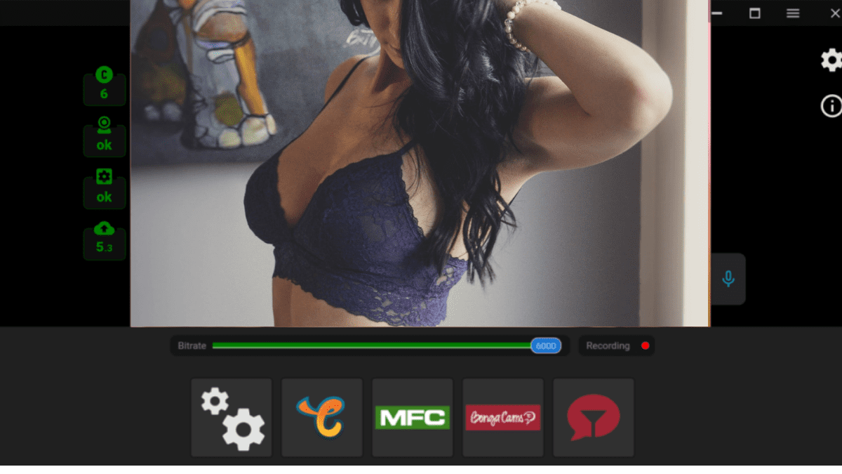 Streamster: software per CamGirl per trasmettere su più siti | Blog per Adulti
