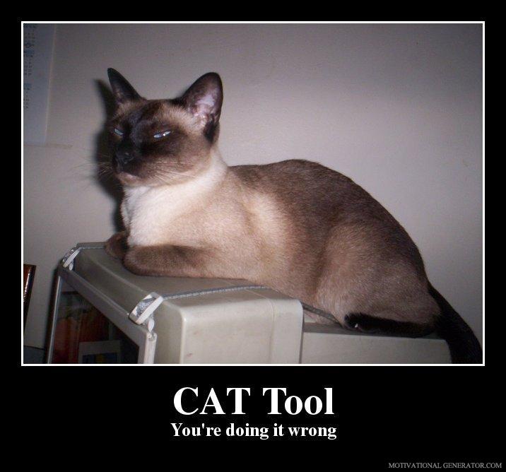 CAT tool use by translators: who is using?
