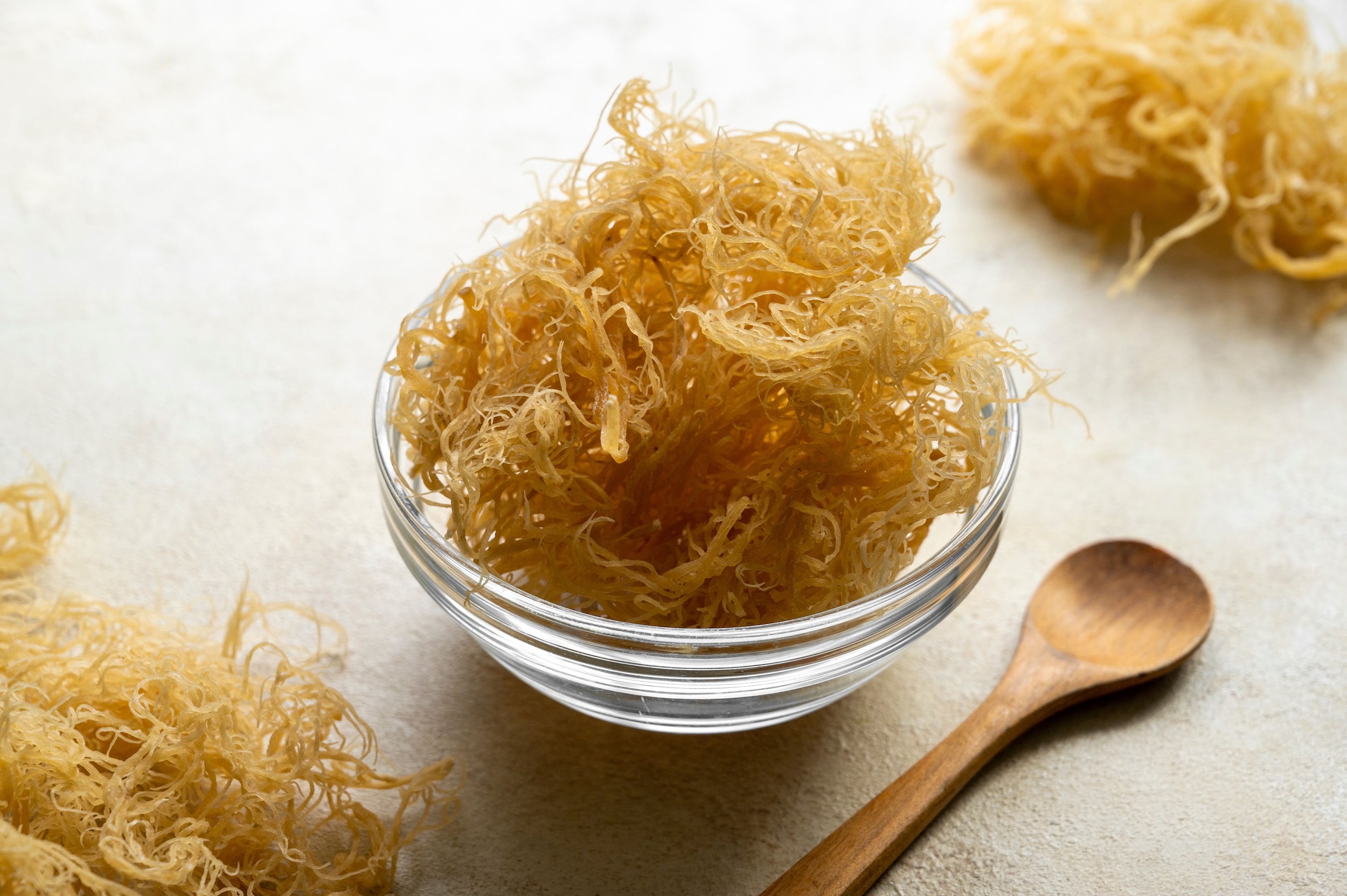 Sea moss: Healthy or just a trend? - Baylor College of Medicine Blog Network