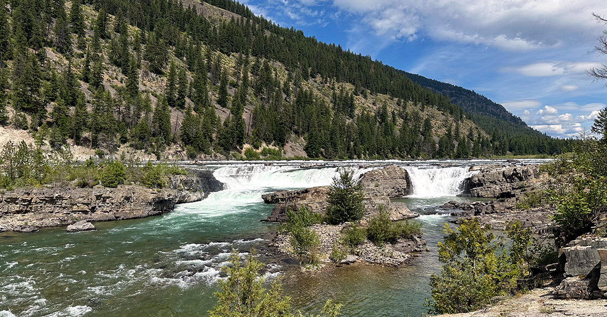 Striving for Sustainability: Meet Tom - Cisco Blogs