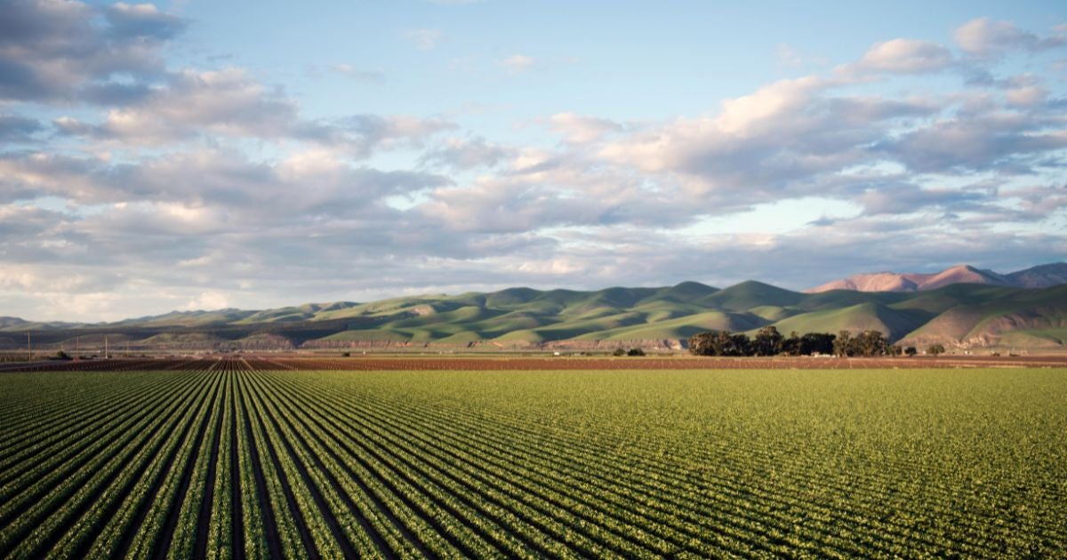 California auction results underscore need for ambition and certainty in cap-and-trade market - Climate 411
