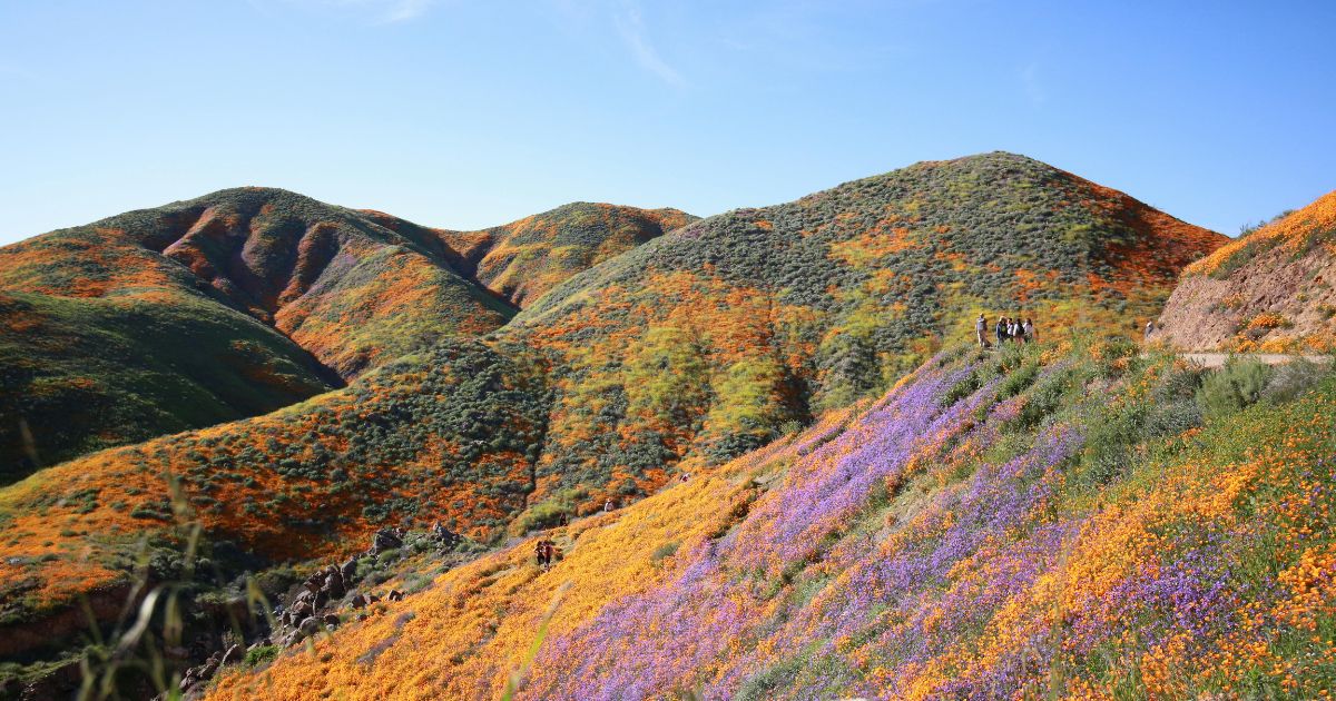 A roadmap to deliver results for working Californians and the climate — without delay - Climate 411