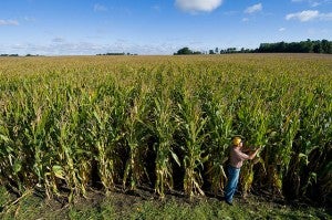 USDA-funded projects help farmers protect water and wildlife | Growing Returns