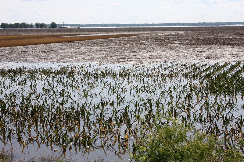 As if things weren’t already hard enough, farmers must brace for another wet spring | Growing Returns