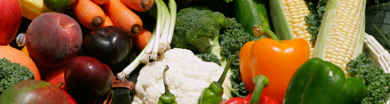 Iguana Recipe Ideas-Keep Food Safety in Mind - UF/IFAS Extension Broward County
