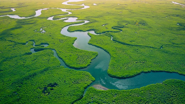 Accelerating sustainability with AI: a playbook - Microsoft On the Issues