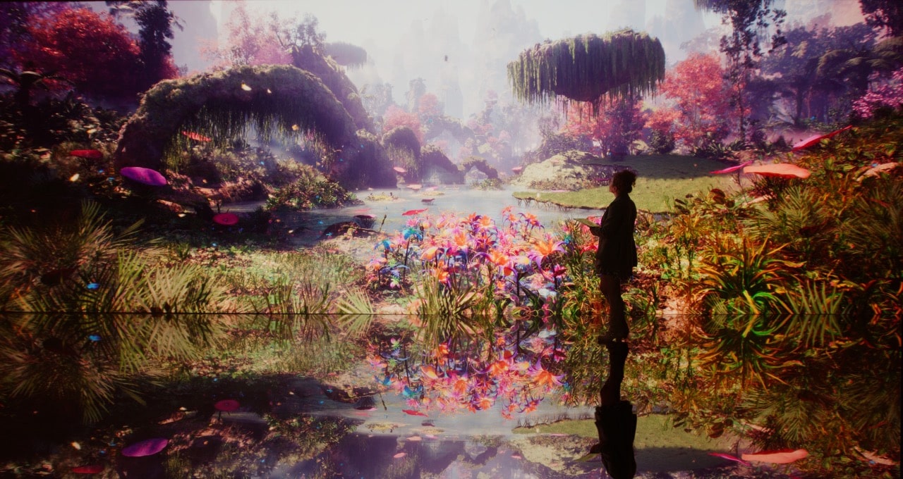 Eco-System Upgrade: AI Plants a Digital Forest at NVIDIA GTC | NVIDIA Blog