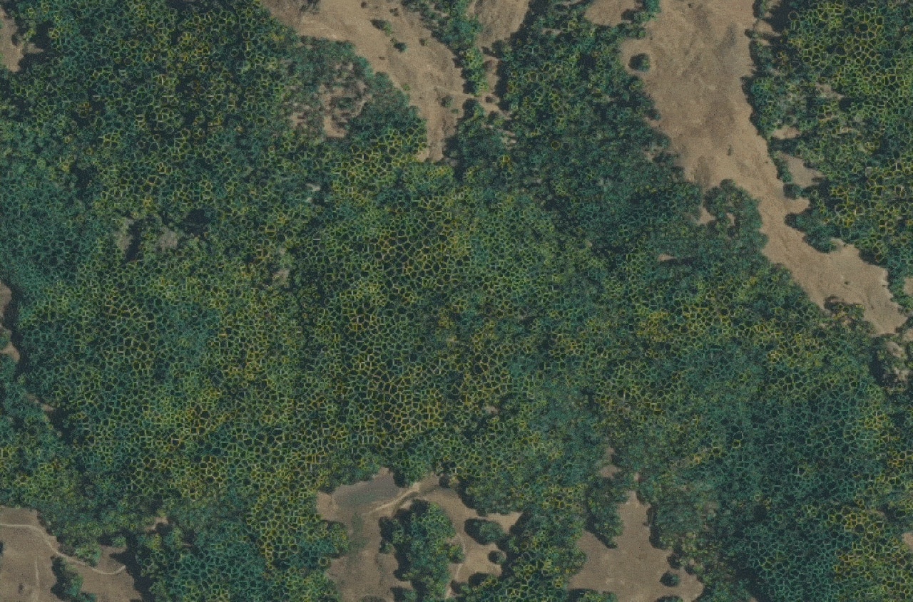Climate Startups Integrate AI for Sustainability Applications | NVIDIA Blog