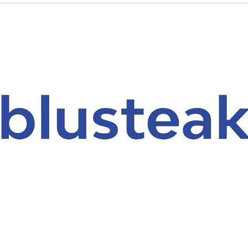 Performance Marketing Agency in India- Blusteak Media