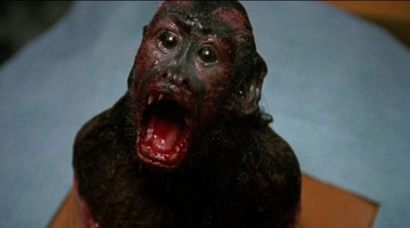 Comando Assassino / Instinto Fatal (1988) - Boca do Inferno