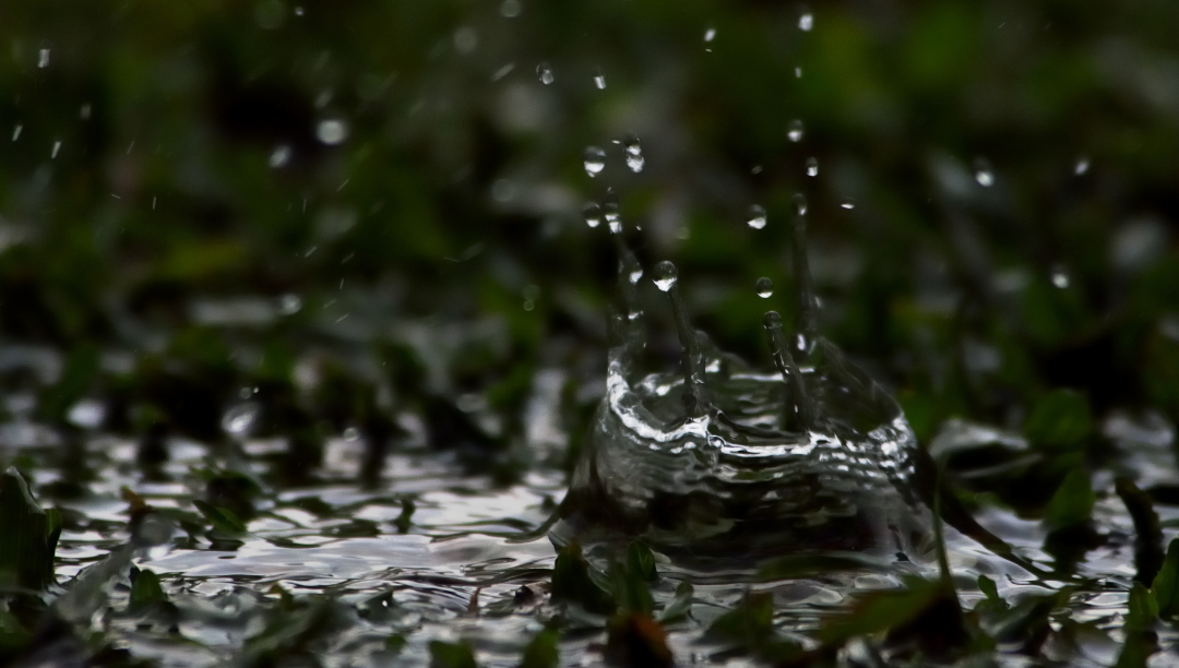 The fascinating reason why rain smells the way that it does - Boing Boing