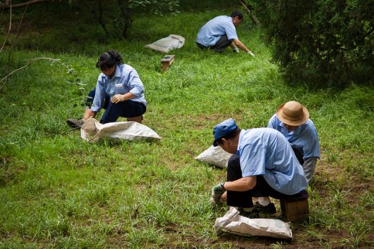 5 Facts About Workers' Rights in China - The Borgen Project