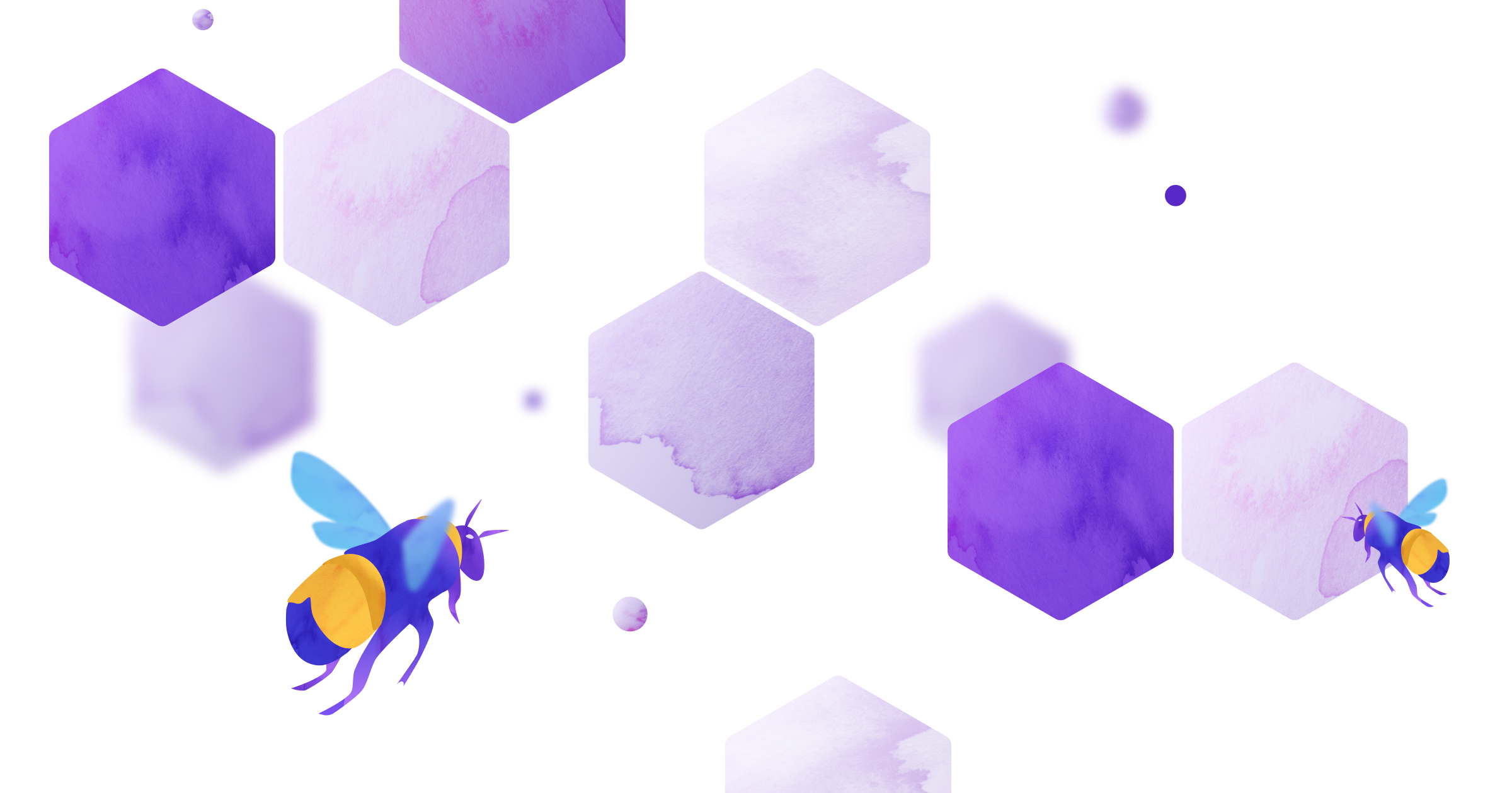 The Bounties Network