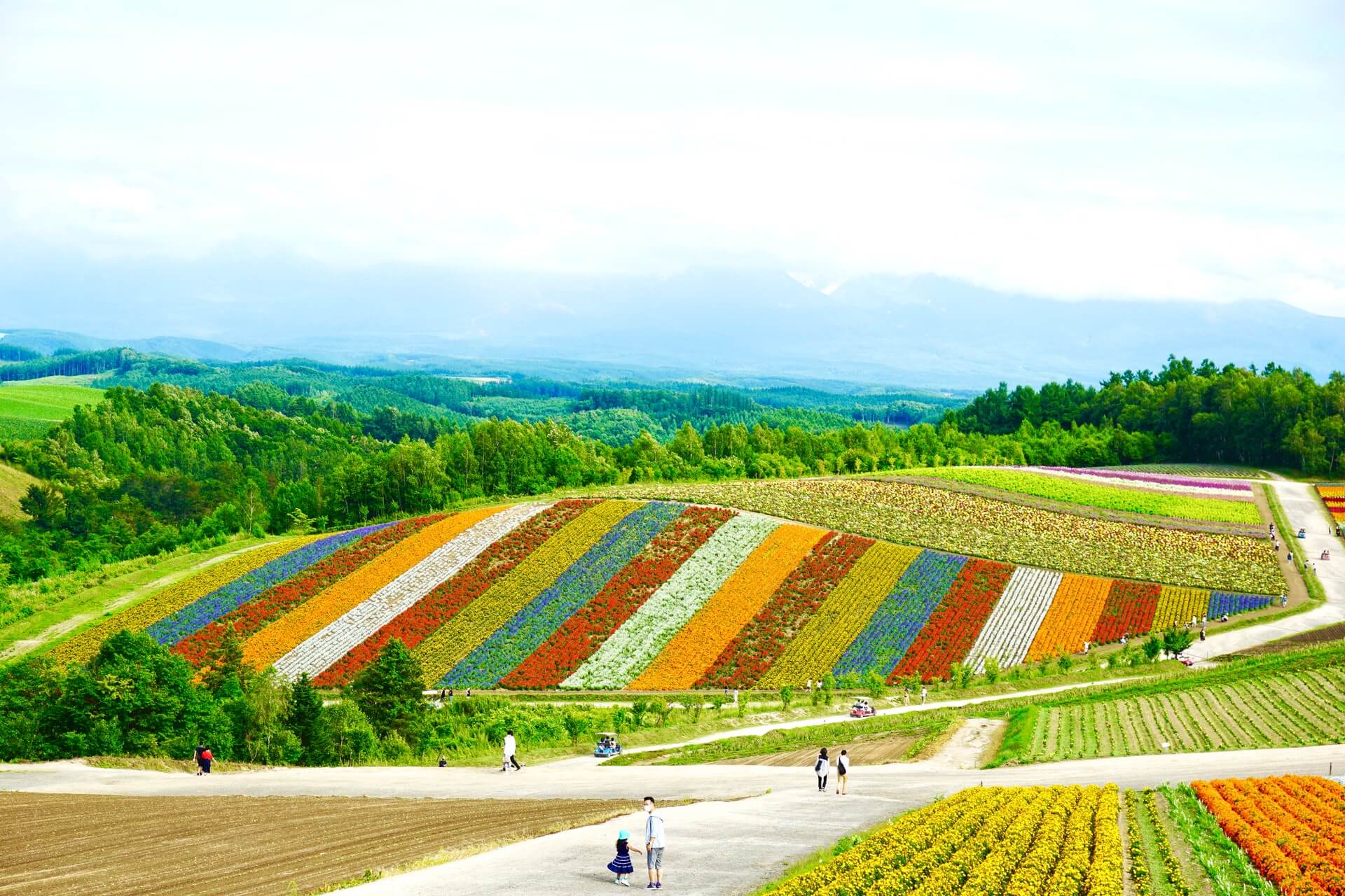When is the Best Time to Visit Japan? - Boutique Japan