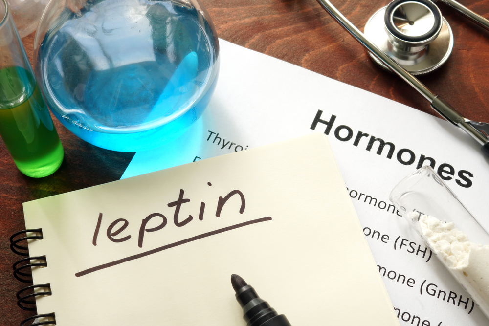 We Now Know How Leptin Controls Body Fat | Brain Blogger