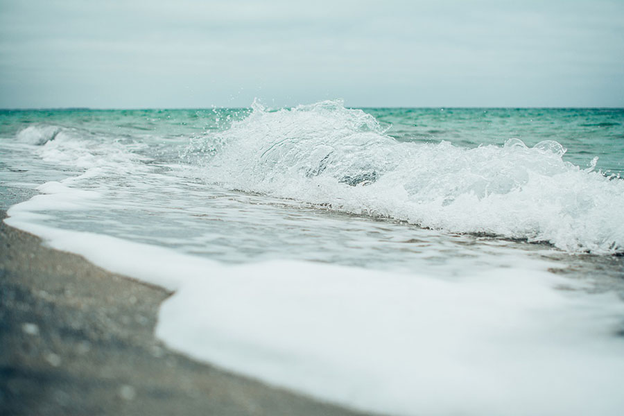 Talking it out: Restoring information ecosystems through authentic human connections - Branch