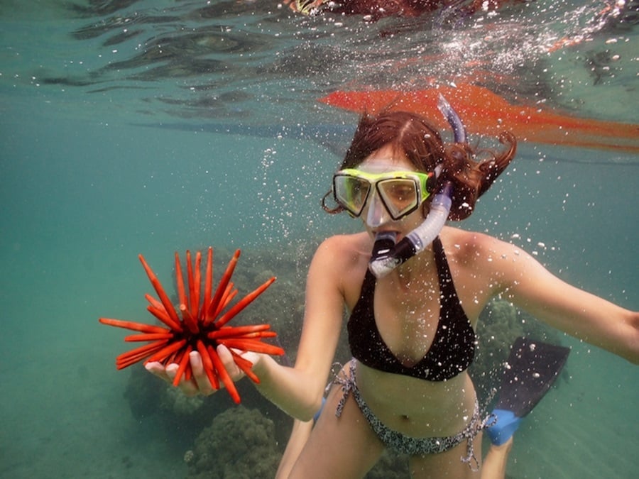 What is a Bucket List? The Origin and Meaning